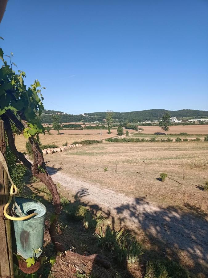 Agriturismo Podere La Selva Villa Serre Di Rapolano Exterior foto