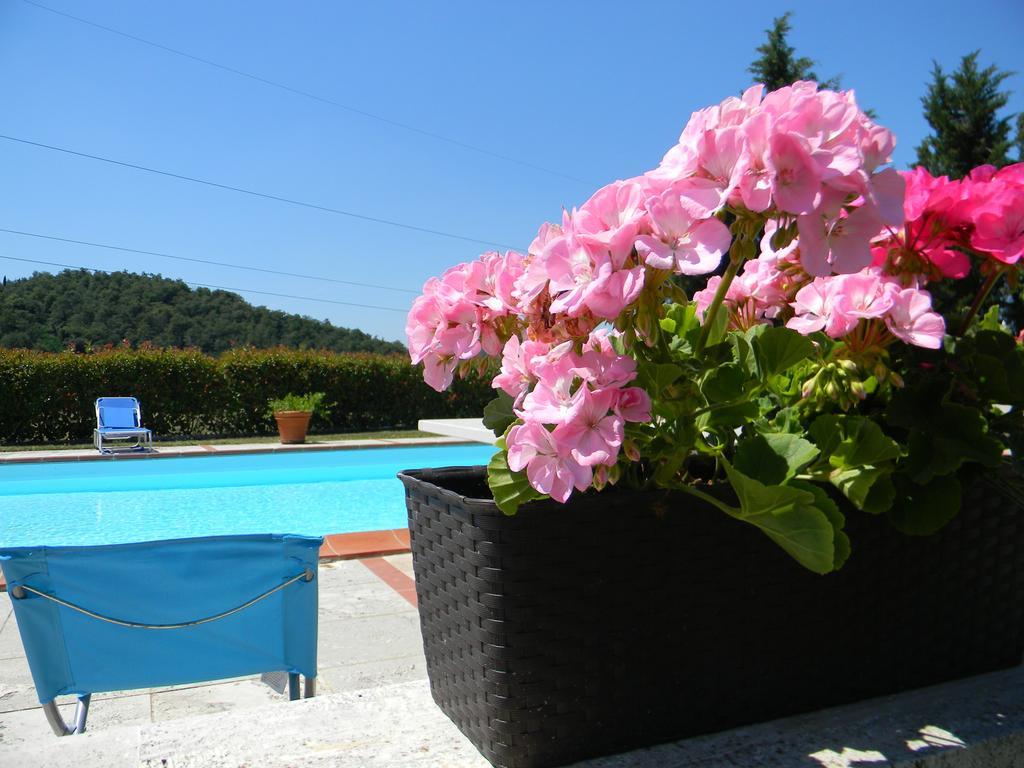 Agriturismo Podere La Selva Villa Serre Di Rapolano Exterior foto