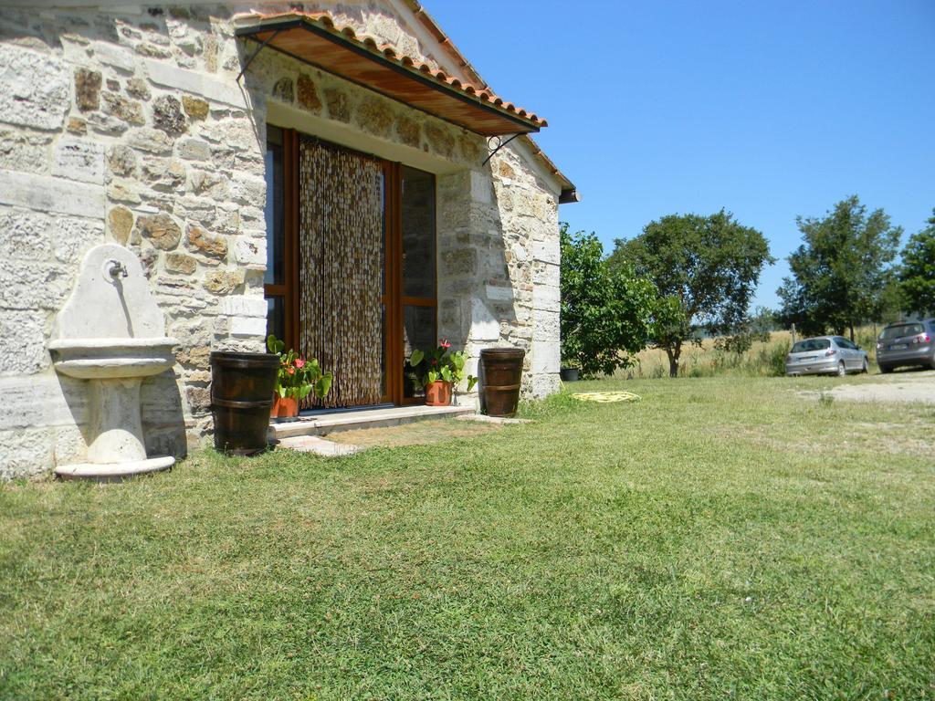 Agriturismo Podere La Selva Villa Serre Di Rapolano Exterior foto