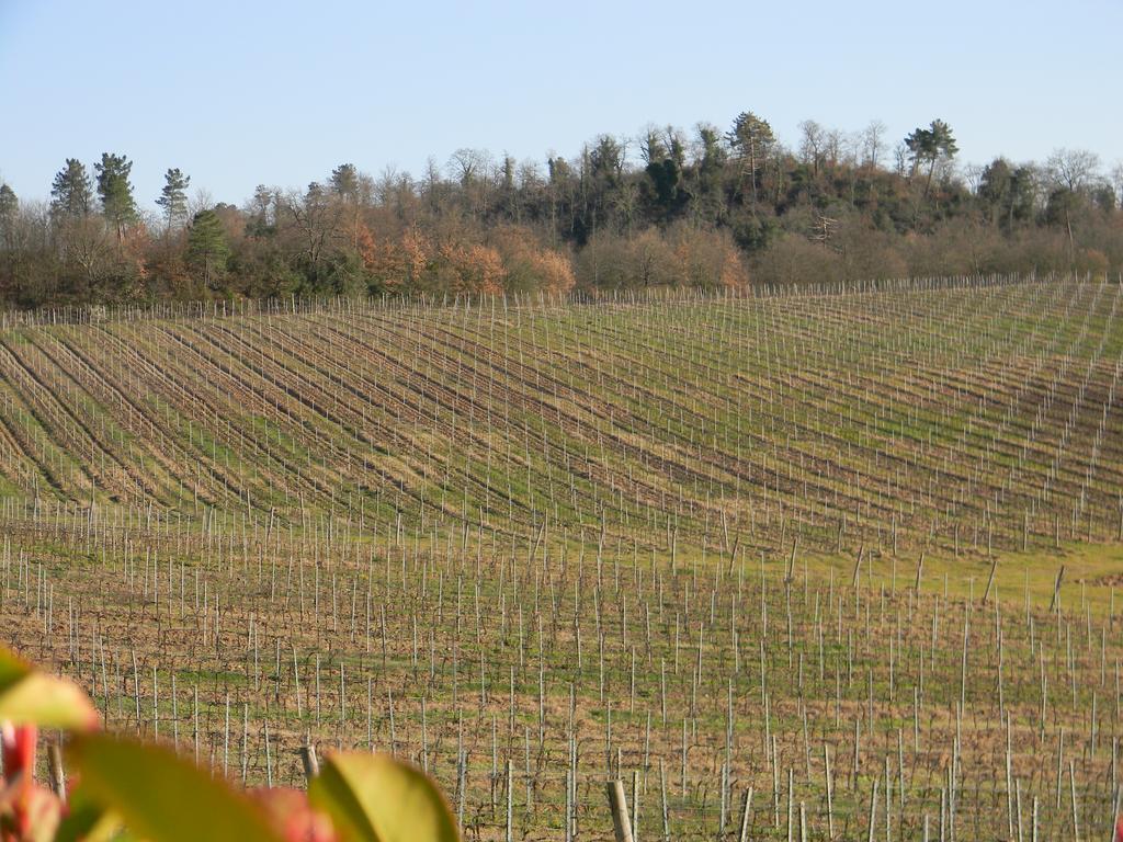 Agriturismo Podere La Selva Villa Serre Di Rapolano Exterior foto