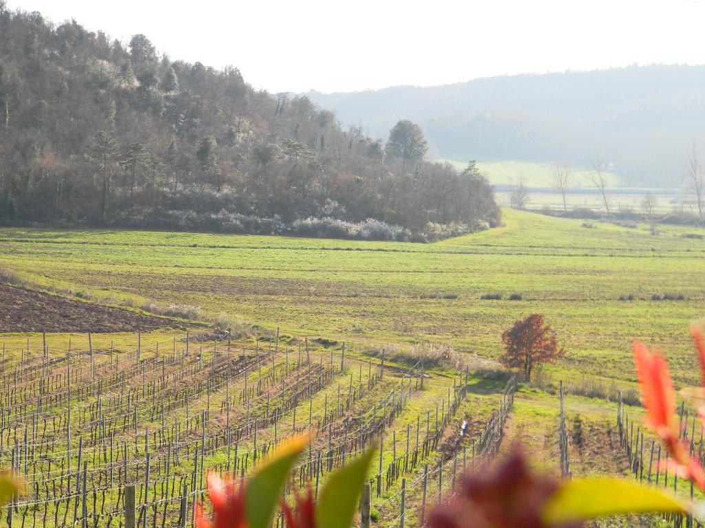 Agriturismo Podere La Selva Villa Serre Di Rapolano Exterior foto