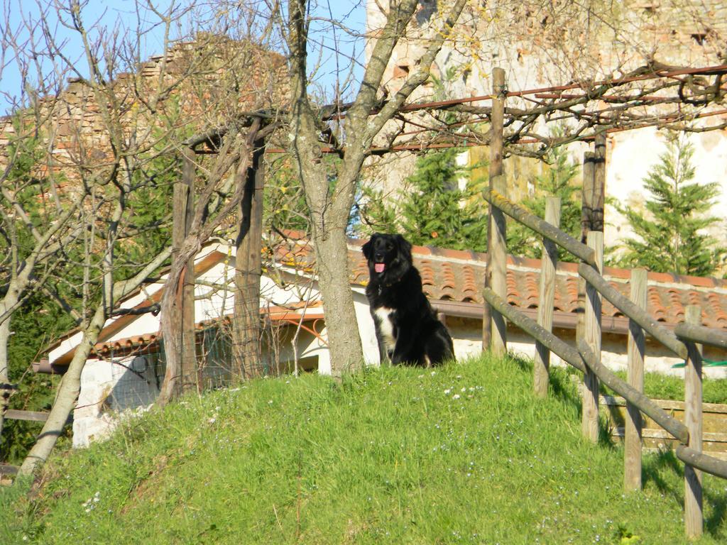 Agriturismo Podere La Selva Villa Serre Di Rapolano Exterior foto
