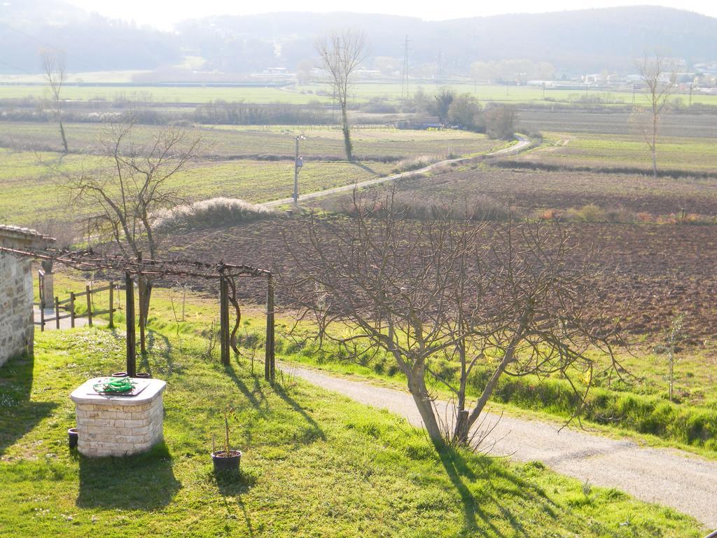Agriturismo Podere La Selva Villa Serre Di Rapolano Exterior foto