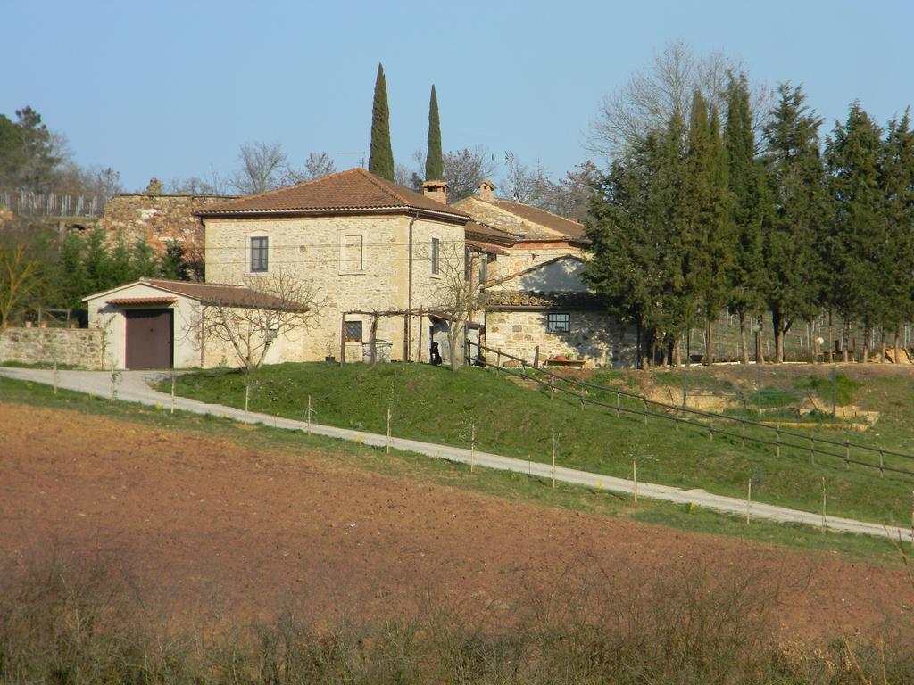 Agriturismo Podere La Selva Villa Serre Di Rapolano Exterior foto