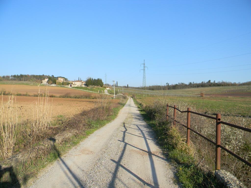 Agriturismo Podere La Selva Villa Serre Di Rapolano Exterior foto